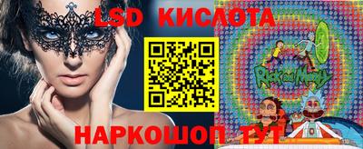 стафф Владимир