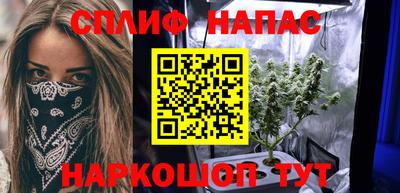прущие грибы Владикавказ