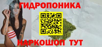 прущие грибы Владикавказ