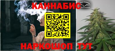 стафф Владимир